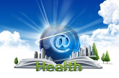 襄阳市发挥审计保障国家经济社会健康运行的举措