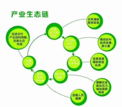 生态农业优化发展措施探究