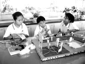 探讨了语文实践教学如何提高学习主动性