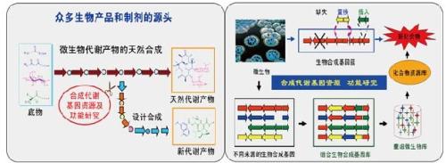 水环境污染检测中运用生物检测的优势分析