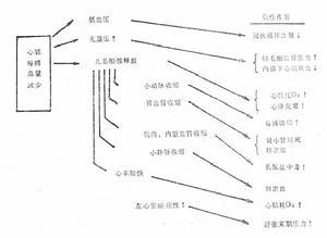 急性ST段抬高型心肌梗死患者使用PCI治疗的效果研究