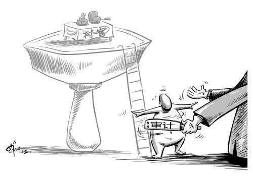 农村财务审计监督现状与加强措施