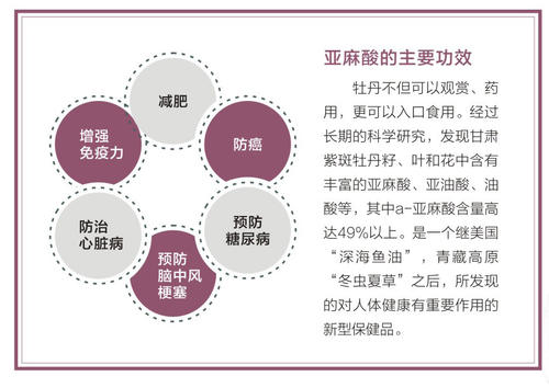牡丹分布生存的概况,我的牡丹鹦鹉今天早上逃走了。我不知道他们是否能在外面。...