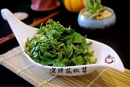 花椒苗木生产椒芽的技术探析