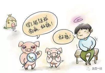 生猪高热病的诊断和治疗原则及防范方法