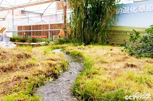 阅读文化的时代性及其对阅读的唤醒