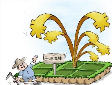 探讨农村土地流转中的问题及有效措施