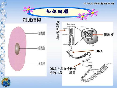 论现代生物技术在环境检测中的作用及价值