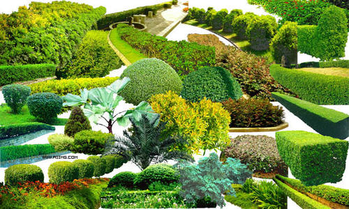 园林景观微地形塑造相关因素探析,园林绿化工程对微观地形所用的土壤有什么要求，有什么要求吗...