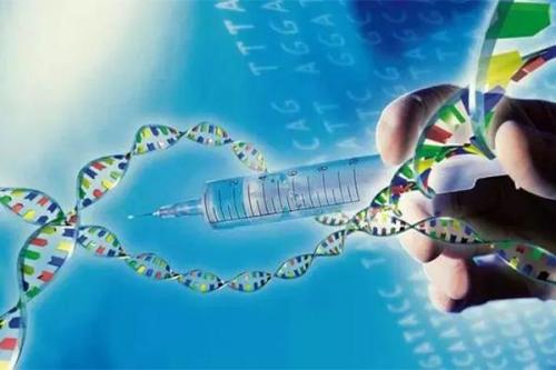 探讨基因工程治疗遗传病的发展前景,基因工程治疗什么遗传病
