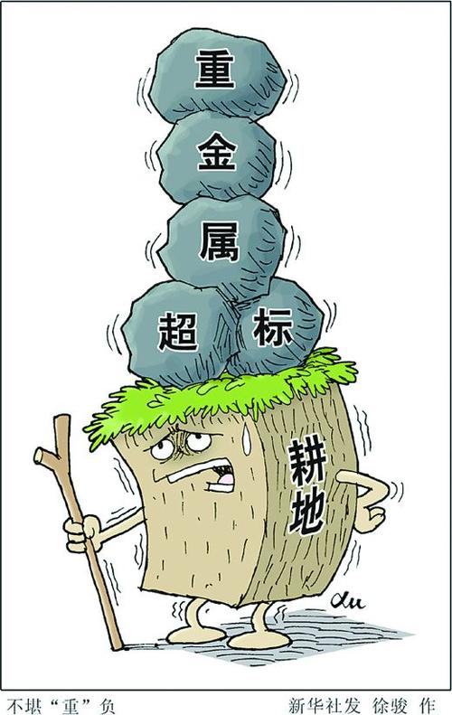 浅析土壤污染的防范与治理