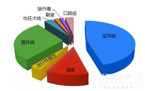 猪圆环病诊断技术研究进展