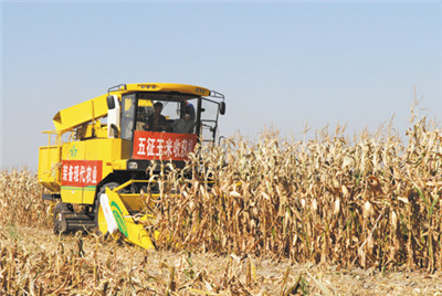 玉米收割机应注意的保养事项