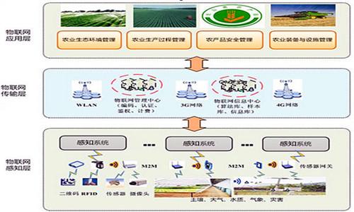 分析农业互联网应用技术培训的重要性