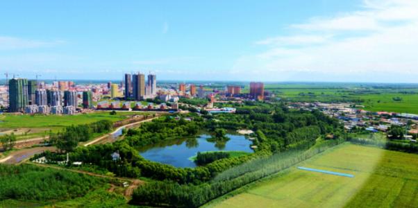 黑龙江省绥化市农业发展现状,绥化新泰农业发展有限公司怎么样？