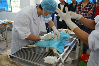 讨论苏州畜牧兽医工作发展