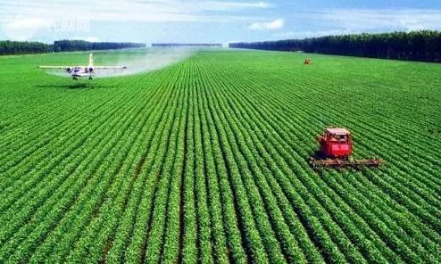 农业可持续发展中肥料使用策略分析,论述了土壤肥料在农业可持续发展中的作用和地位