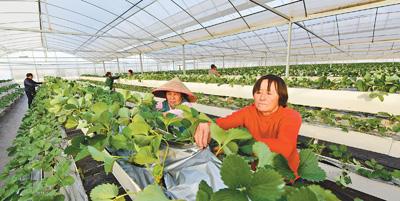 植物保护新技术在生态农业中的运用,扬州大学农学院植物保护专业应该读哪些书？附言:是的...