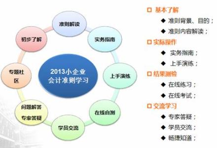 分析会计准则在执行过程中存在的问题及建议