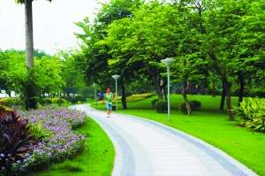 校园绿化与学习环境改善的关系