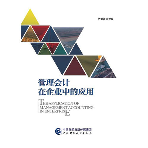 管理会计在我国企业实际应用中的问题