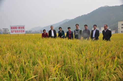 粮食高产创建调查项目及方法,在莒县建立农民高产专业合作社怎么样？