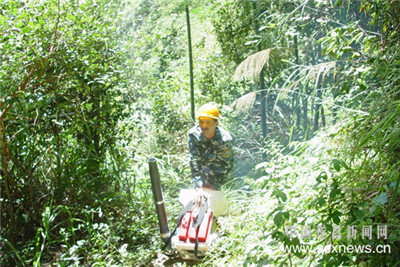 当前林业企业如何有效地进行造林、护林工作