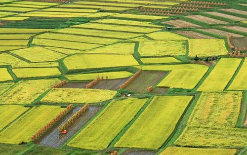 乡村振兴战略中新时代“三农”问题的新突破探究,如何认识中国农村振兴战略的重要意义