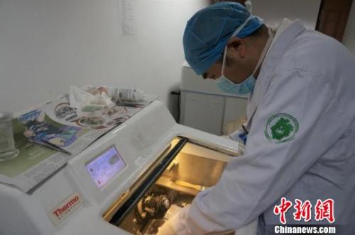 病理科活体组织检查的运用