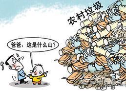 探讨环境污染问题对农业经济发展及农民生活环境的影响,环境治理需要什么样的经济政策？