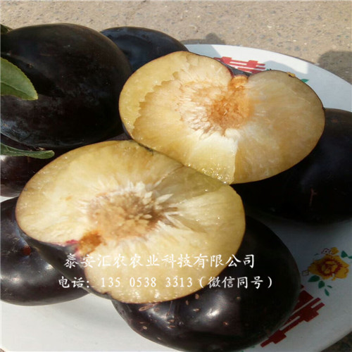 常德农业生态环境保护的成效、问题及对策