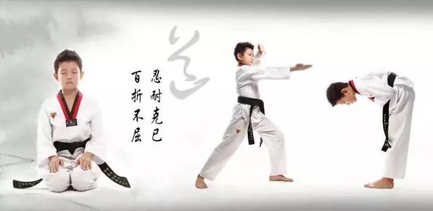 大学跆拳道教学实践不足与完善