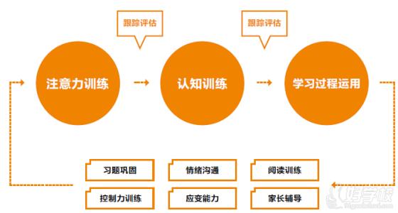运动锻炼对青少年脑力发育的作用分析