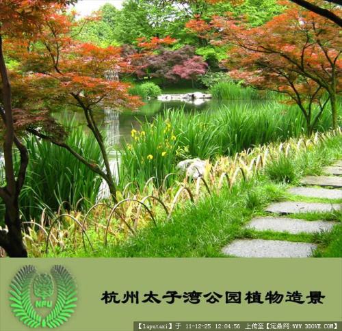 植物造景的作用及艺术手法研究