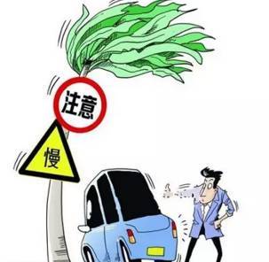 台风暴雨引发的财产损失赔偿案研究