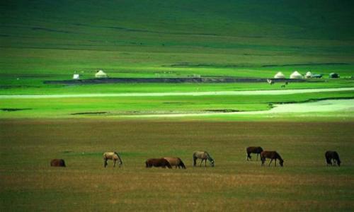 草地畜牧业的发展以及草原管理的问题及建议,什么是现代草原畜牧业？
