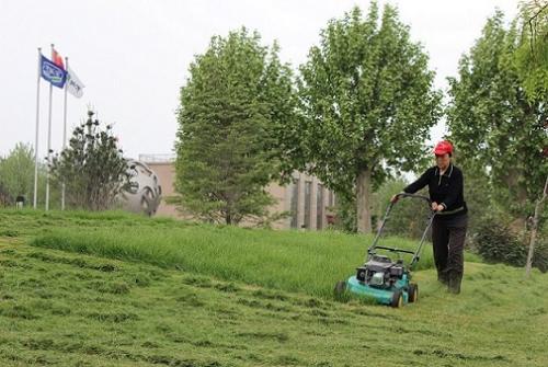 园林绿化管理中存在的问题及解决措施