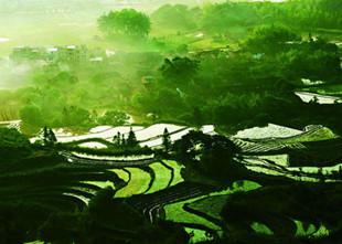 浅析生态哲学的概念及现实意义