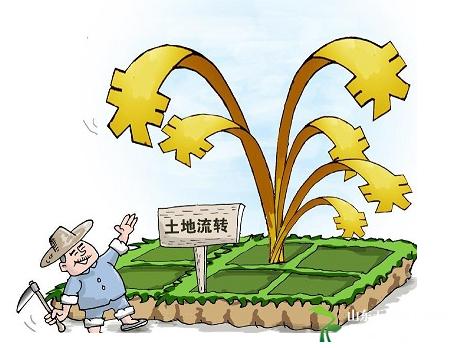 土地经营权的合法化流转探析