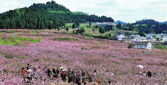 黑龙江林区林业发展问题与对策