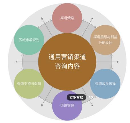 中国中小企业市场营销的路径选择及策略,对一家中小型企业的营销战略进行了访谈(采用了4P营)...