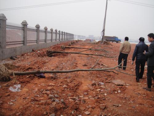 浅谈园林施工企业如何有效进行财务核算