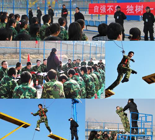 素质拓展训练在初中体育教学中的融入