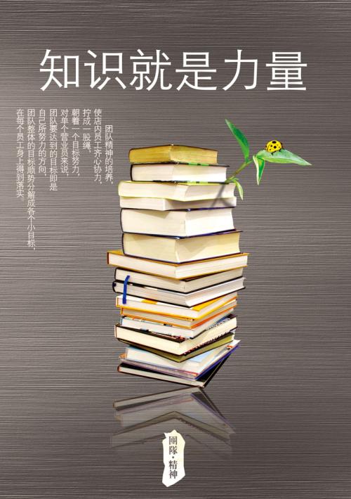 现代知识经济时代下对知识就是力量的思考