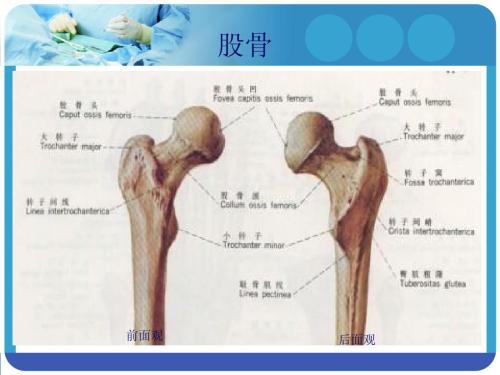 中西医结合治疗高龄股骨粗隆间骨折 30 例,股骨转子间骨折术后如何行使功能