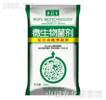 复合微生物菌剂在小白菜生产中的施用效果