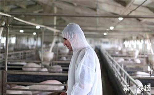 畜牧兽医中心的工作问题及解决对策