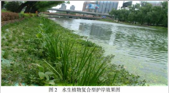 浅析河道治理中常用生态护岸适用性